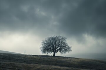 Lone tree stands defiant against a brooding sky, an emblem of resilience in the rolling hills.

