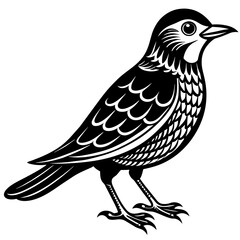    Bird vector illustration.
