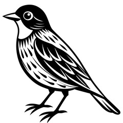    Bird vector illustration.
