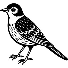    Bird silhouette  vector illustration.
