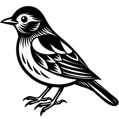    Bird silhouette  vector illustration.
