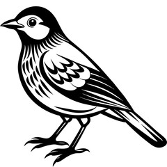 Obraz premium Bird silhouette vector illustration. 