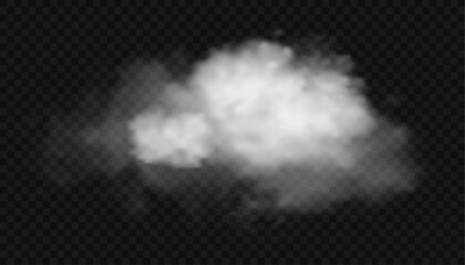 White fluffy clouds sky isolated,Vector Abstract Soft group of fog,haze,smoke,mist,illustration of nature elements for landscape design.. - obrazy, fototapety, plakaty