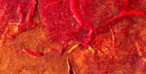 Vivid Colors and Intricate Abstract Patterns Ignite Your Imagination