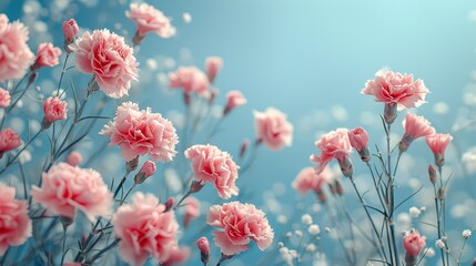   Pink flowers on a blue-white background with a blue sky in the backdrop