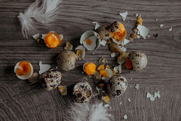 Cracked quail egg with broken shell in box on grey background