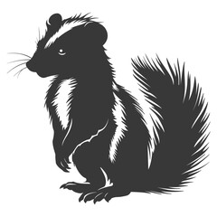 Silhouette skunk animal black color only