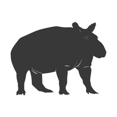 Fototapeta premium Silhouette tapir animal black color only