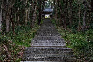 Obraz premium 日本の鳥取県の大山のとても美しい風景