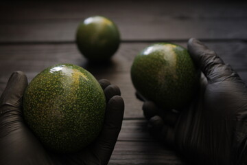Concept, avocado fruit on a black wooden background. Green colored avocado fruit is a rich source...