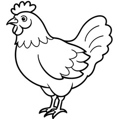    chicken vector illustration with line art.

