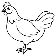    chicken vector illustration with line art.
