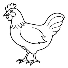    chicken vector illustration with line art.
