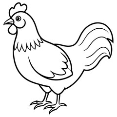    chicken vector illustration with line art.
