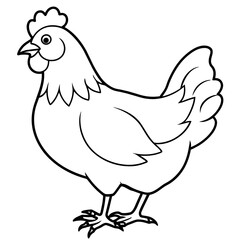    chicken vector illustration with line art.
