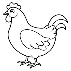    chicken vector illustration with line art.
