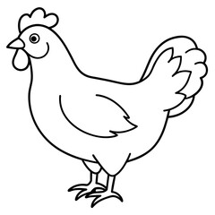    chicken vector illustration with line art.
