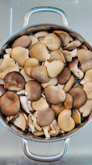 There is a large number of oyster mushrooms in the pan in close-up
