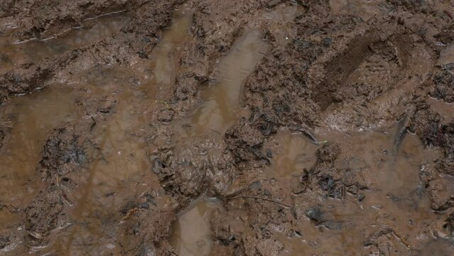 A very muddy forest floor with footprints and raindrops on the muddy puddles
