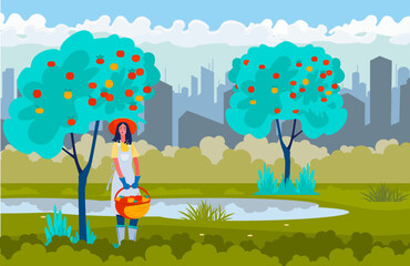 Female farmer picking apples. Young woman with basket gathering harvest faraway from city. Flat vector illustration. Farming, gardening, farmer life, autumn concept