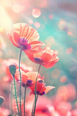 Poppy Flower Wallpaper in light pink and blue colors 