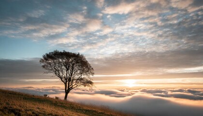 a tree protrudes through a sea of clouds in the sky showcasing a striking contrast between natures elements