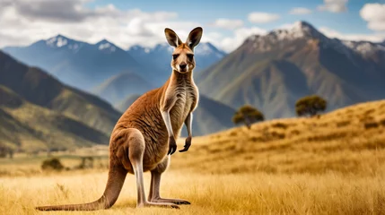 Fotobehang Kangaroo stands in field with mountains in the background. © valentyn640