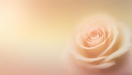 abstract background gradient rich rose background images hd wallpapers