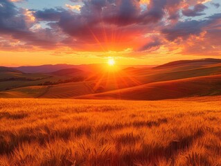 A fiery sunset over rolling hills, golden light bathing fields of wheat in a warm glow Golden Hour Glory Radiant Sky & Amber Fields Tranquil Beauty & Nature's Splendor