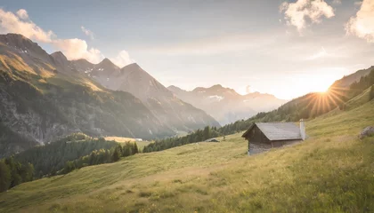 Fotobehang idyllic landscape in the alps with mountain chalet and green meadows © Leila