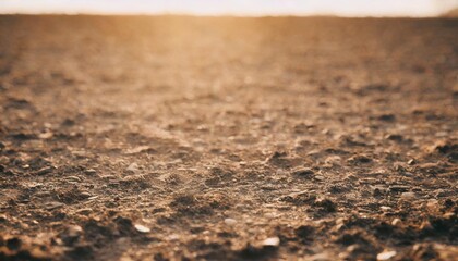 soil texture closeup ground surface as background - obrazy, fototapety, plakaty