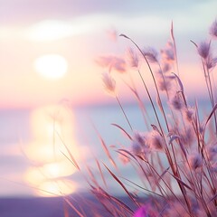 Little grass stem closeup with sunset over calm sea
