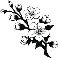 Obraz premium Flower Sakura, Japanese Cherry blossom vector illustration