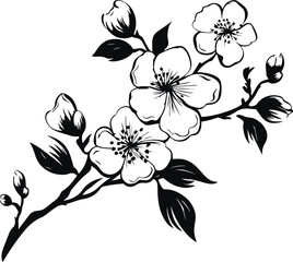 Fototapeta premium Flower Sakura, Japanese Cherry blossom vector illustration