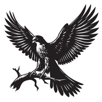recommend clip art: Vintage hand drawn spread wings eagle