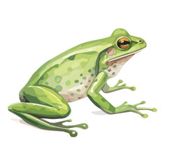 Watercolor vector of a frog, isolated on a white background, design art, drawing clipart, Illustration painting, Graphic logo, frog vector 