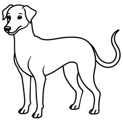      Dog vector illustration with line art.
