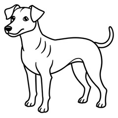      Dog vector illustration with line art.
