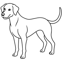      Dog vector illustration with line art.
