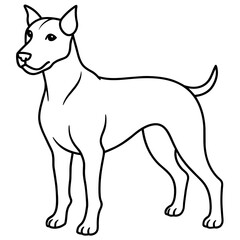      Dog vector illustration with line art.
