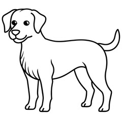      Dog vector illustration with line art.
