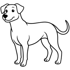     Dog vector illustration with line art.
