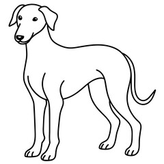      Dog vector illustration with line art.
