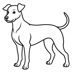      Dog vector illustration with line art.
