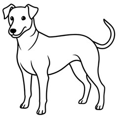      Dog vector illustration with line art.
