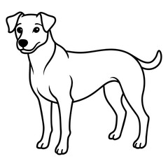      Dog vector illustration with line art.
