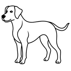      Dog vector illustration with line art.
