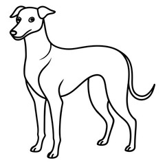     Dog vector illustration with line art.
