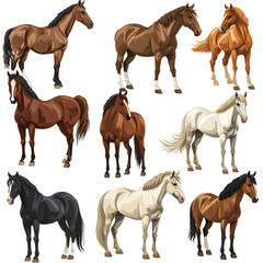 Clipart illustration featuring a various of horse on white background. Suitable for crafting and digital design projects.[A-0003]