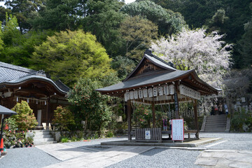 Fototapeta premium 春の大豊神社 境内 京都市左京区鹿ケ谷